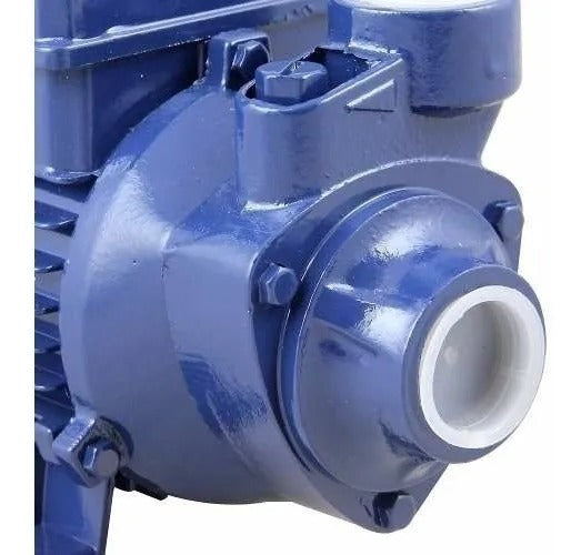 001885 Motobomba Std Periferica 1cv 60hz Biv Ics-100ab Eletroplas