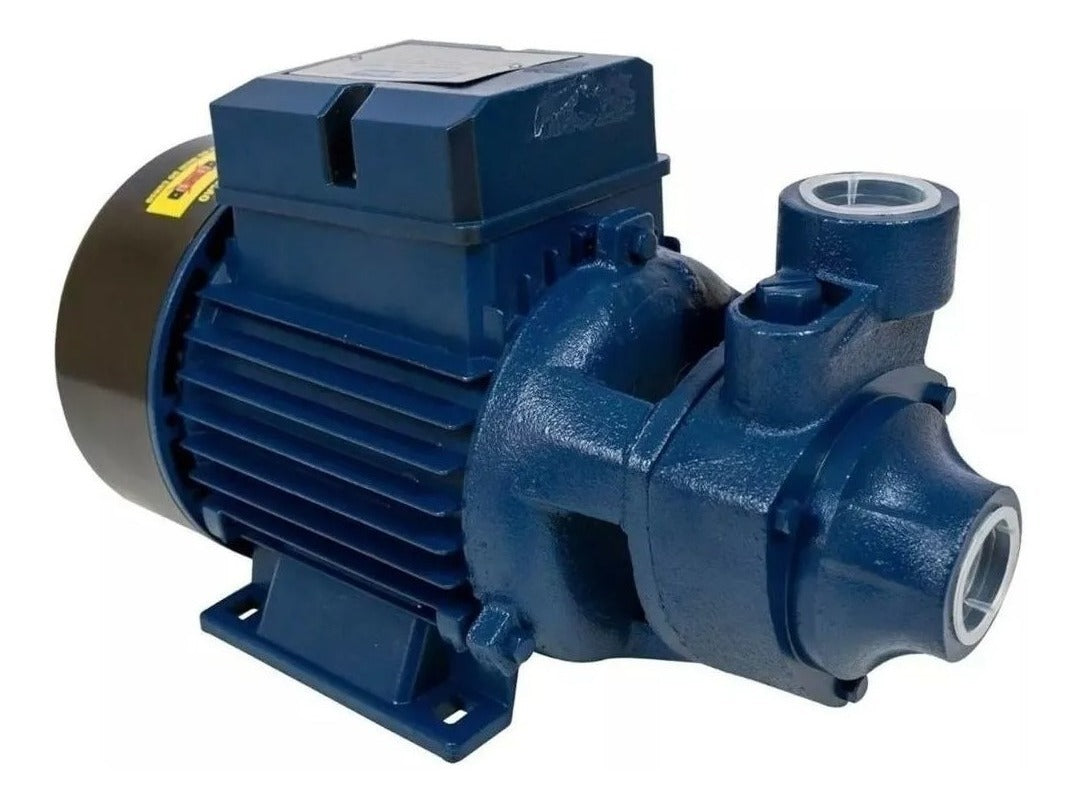 MOTOBOMBA STD PERIFERICA 1/2CV 60HZ BIV ICS-50AB ELETROPLAS