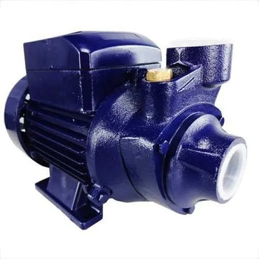 001885 Motobomba Std Periferica 1cv 60hz Biv Ics-100ab Eletroplas