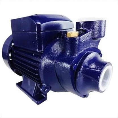 001885 Motobomba Std Periferica 1cv 60hz Biv Ics-100ab Eletroplas