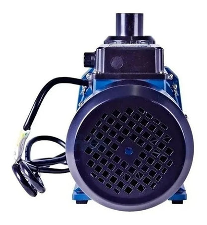 Motobomba P/Hidromassagem 1.0CV 220V 60HZ ECH100I Eletroplas