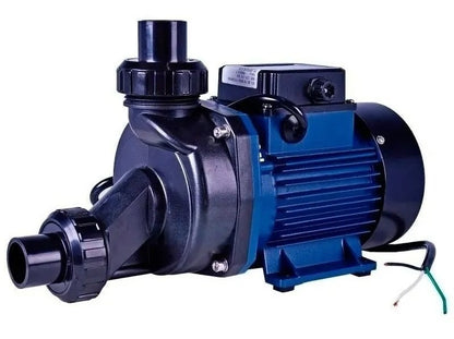 Motobomba P/Hidromassagem 1.0CV 220V 60HZ ECH100I Eletroplas