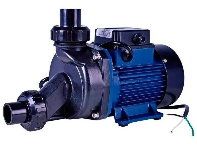 Motobomba Para Hidromassagem 3/4CV - 127V Ech-75i Eletroplas