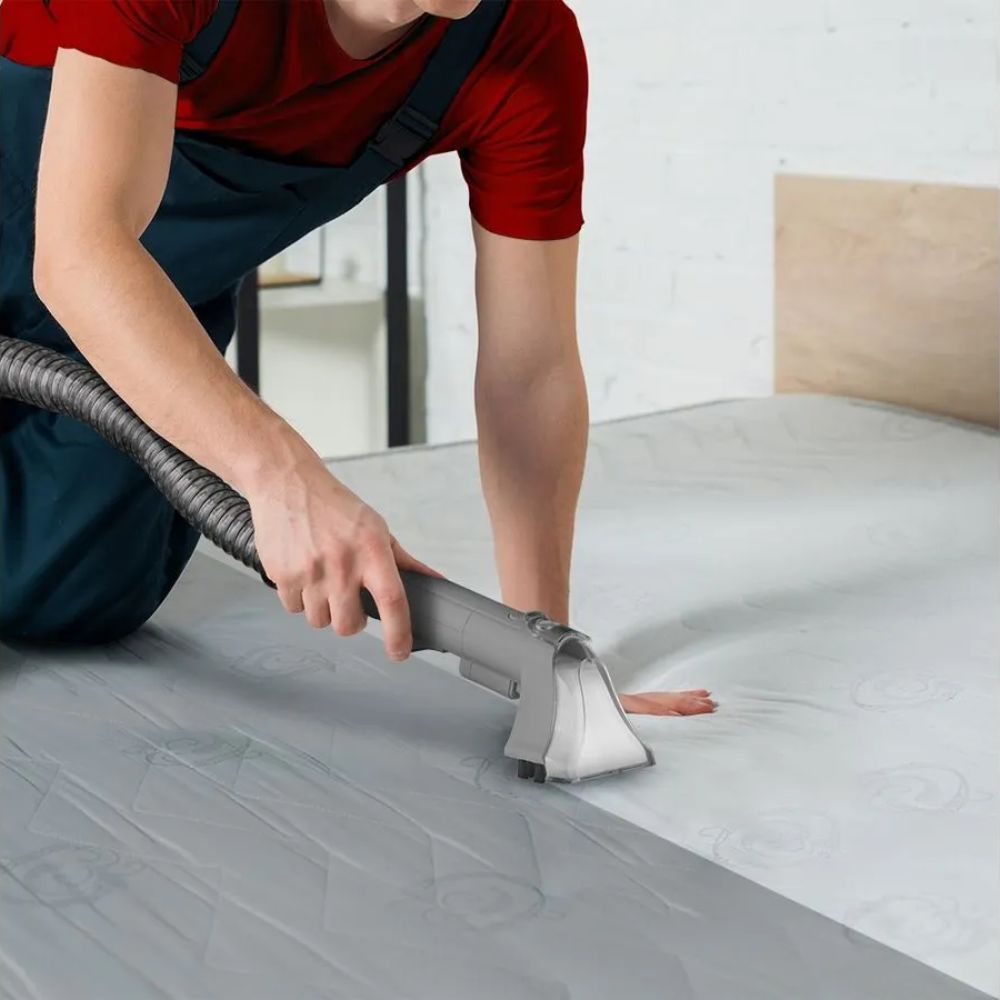 Extratora Limpadora De Estofados Portátil 127v 1400w Multi